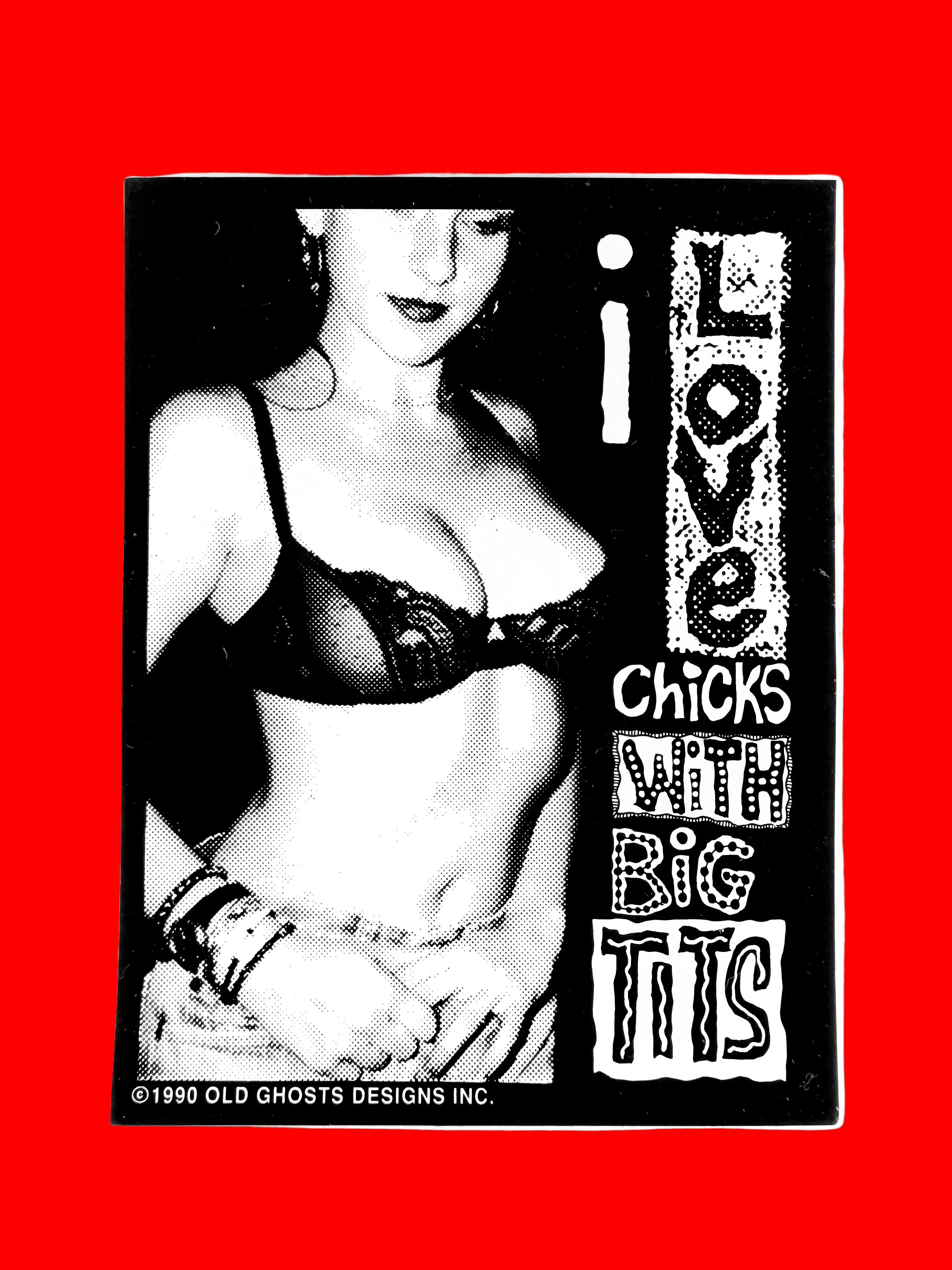 Black and white image with text 'I love chicks with big tits' and a person in lingerie.