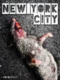OGD NYC Rectangle Dead Rat Stickers 2024