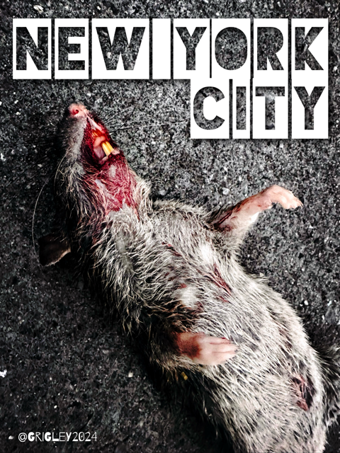 OGD NYC Rectangle Dead Rat Stickers 2024